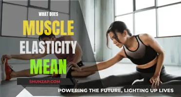 Understanding Muscle Elasticity and its Benefits
