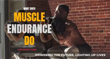 How Muscle Endurance Boosts Your Workout Performance