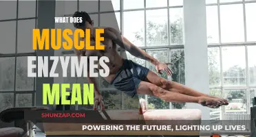 Understanding Muscle Enzymes: What Do They Mean?