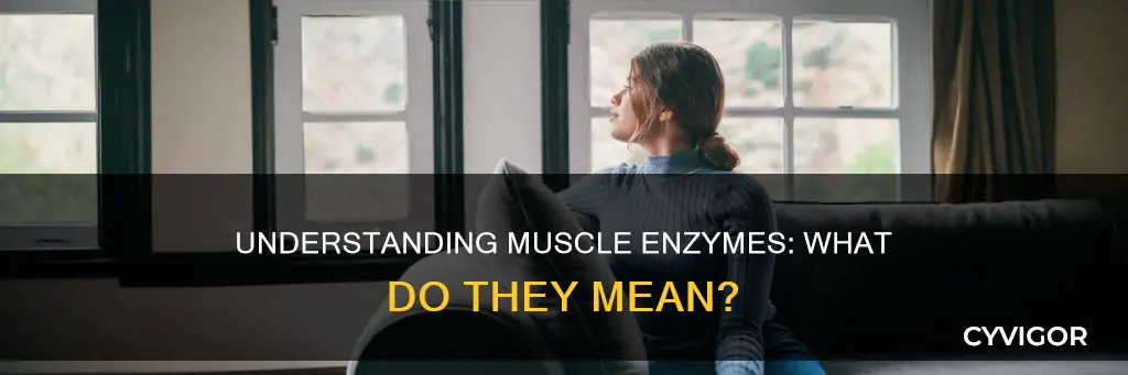 what does muscle enzymes mean