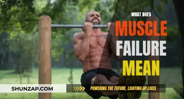 Understanding Muscle Failure: When Can't Go On
