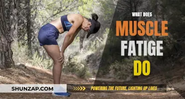 Understanding Muscle Fatigue: Impact and Causes