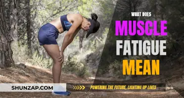 Understanding Muscle Fatigue: Causes and Effects