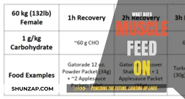 Muscle Growth: What Do Muscles Eat?