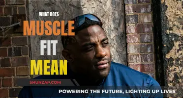 Understanding Muscle Fit: The Ultimate Guide