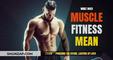 Muscle Fitness: Understanding the Science of Strength