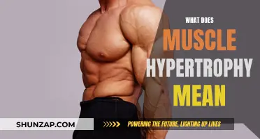 Understanding Muscle Hypertrophy: Building Bigger Muscles