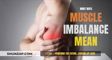 Muscle Imbalance: What Does It Mean for Your Body?