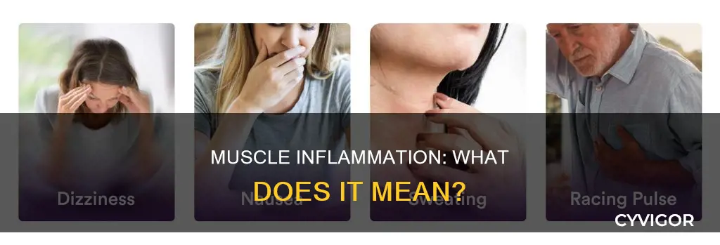 what does muscle inflammation mean