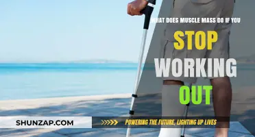 What Happens to Muscle Mass When You Stop Working Out?