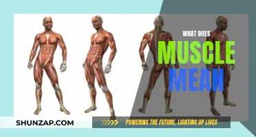 Understanding Muscle Meaning and Its Significance