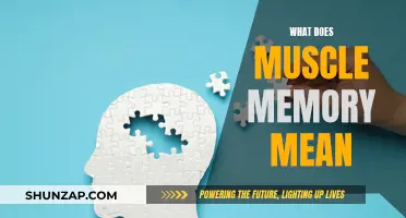 Understanding Muscle Memory: How Does It Work?