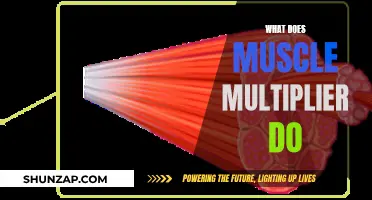 How Muscle Multiplier Enhances Your Workout