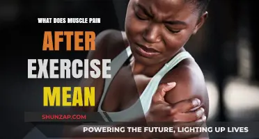 Understanding Post-Workout Muscle Pain: Causes, Benefits, and Recovery Tips