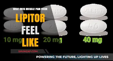 Understanding Lipitor-Induced Muscle Pain: Symptoms, Causes, and Relief Options