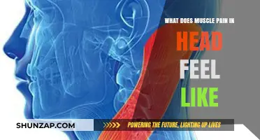 Understanding Head Muscle Pain: Symptoms, Causes, and Relief Strategies
