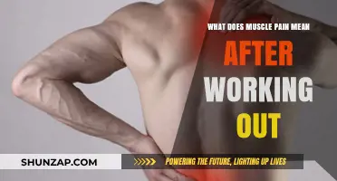 Understanding Post-Workout Muscle Pain: Causes, Benefits, and Recovery Tips
