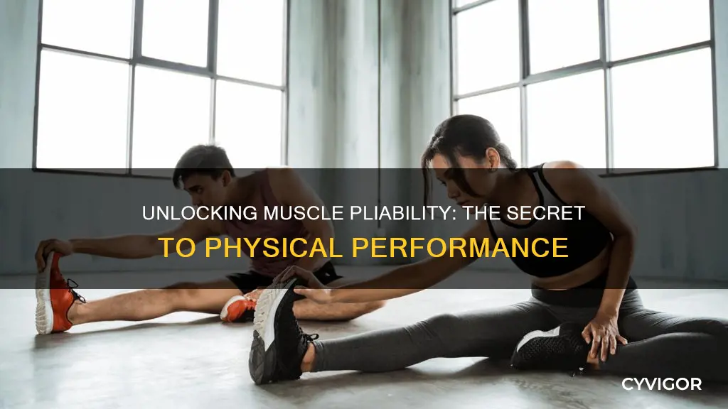 what does muscle pliability mean