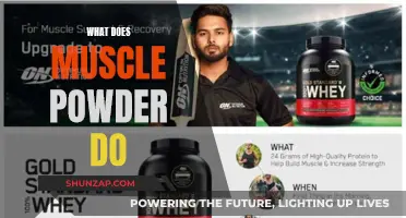Muscle Powder Benefits: What's the Science?