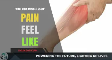 Understanding Muscle Sharp Pain: Symptoms, Causes, and Relief Strategies