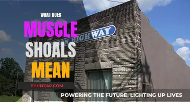 Muscle Shoals: The Story Behind the Music