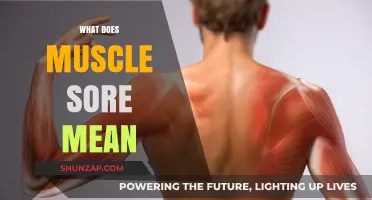Understanding Muscle Soreness: Causes, Benefits, and Recovery Tips Explained
