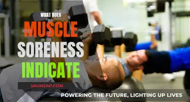 Muscle Soreness: What Does It Mean?