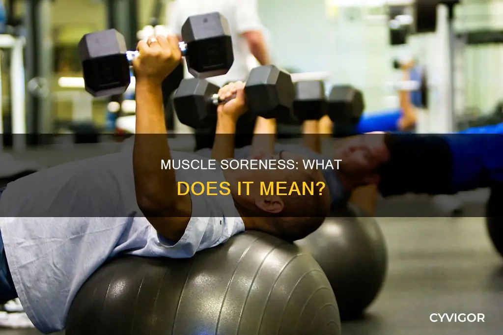 what does muscle soreness indicate