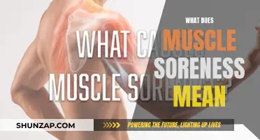 Understanding Muscle Soreness: What Does It Mean?
