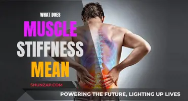 Understanding Muscle Stiffness: What Does It Mean?