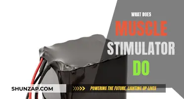 Muscle Stimulators: How Do They Work and Benefits?