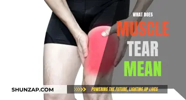 Understanding Muscle Tears: Causes, Symptoms and Treatment
