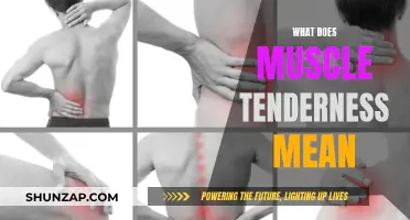 Understanding Muscle Tenderness: What Does It Mean?