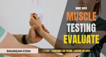 Muscle Testing: Evaluating Your Body's Response