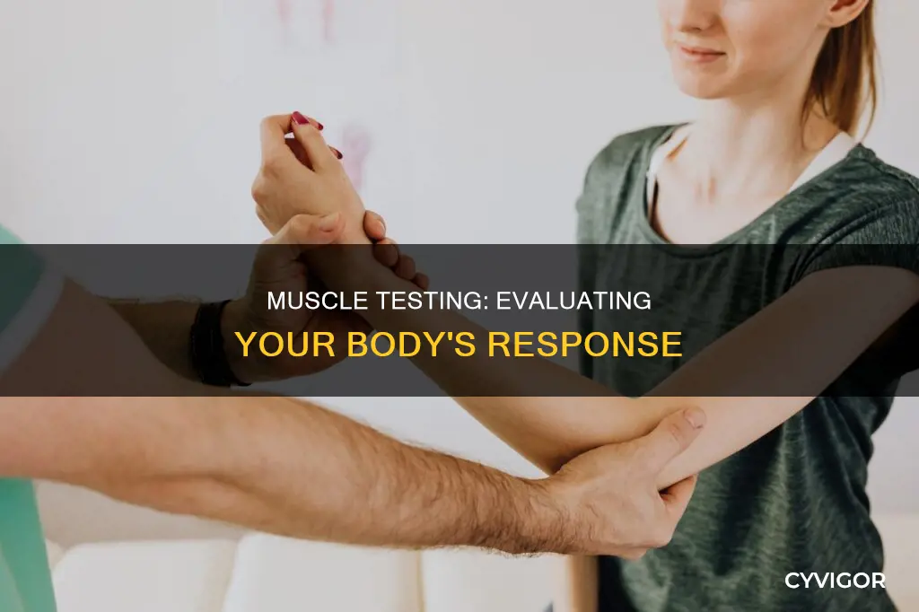 what does muscle testing evaluate