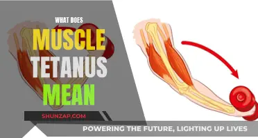 Understanding Muscle Tetanus and Its Impact