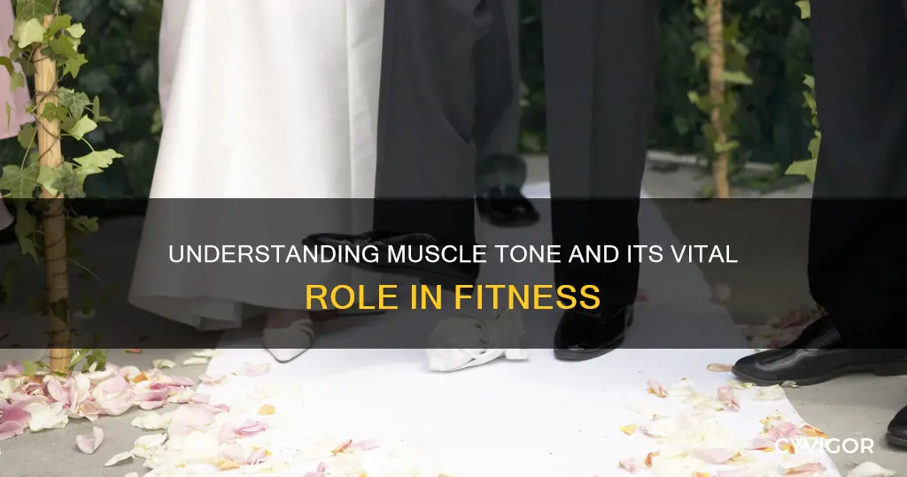 what does muscle tov mean