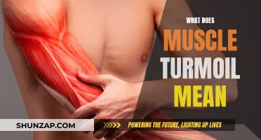 Understanding Muscle Turmoil: The Science Behind Muscle Soreness