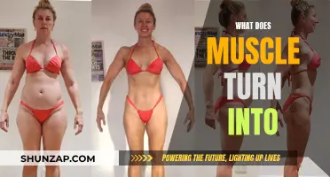 Muscle Transformation: What Happens When Muscles Change?