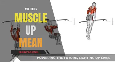 Muscle Up: Understanding the Complex Movement