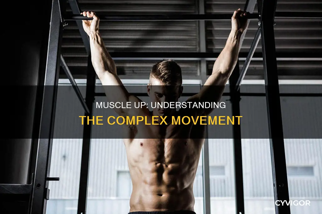 what does muscle up mean