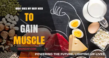 Fuel Your Body Right: Essential Tips for Muscle Gain