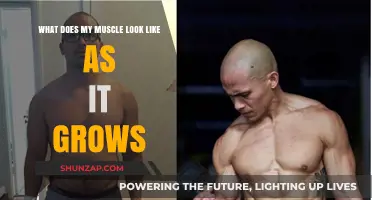 Unveiling Muscle Growth: Visualizing Your Strength Transformation Journey