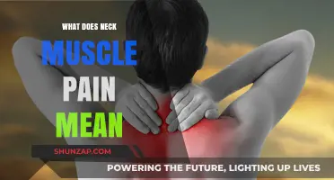 Understanding Neck Muscle Pain: Causes, Symptoms, and Effective Relief Strategies