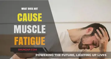 Unraveling Myths: Surprising Factors That Don't Contribute to Muscle Fatigue