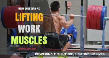 Olympic Lifting: Target Muscles and Full-Body Strength Benefits Explained