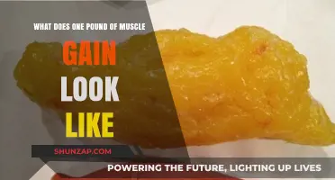 Visualizing Muscle Growth: What One Pound of Muscle Looks Like