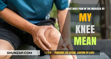 Understanding Knee Muscle Pain: Causes, Symptoms, and Effective Relief Strategies