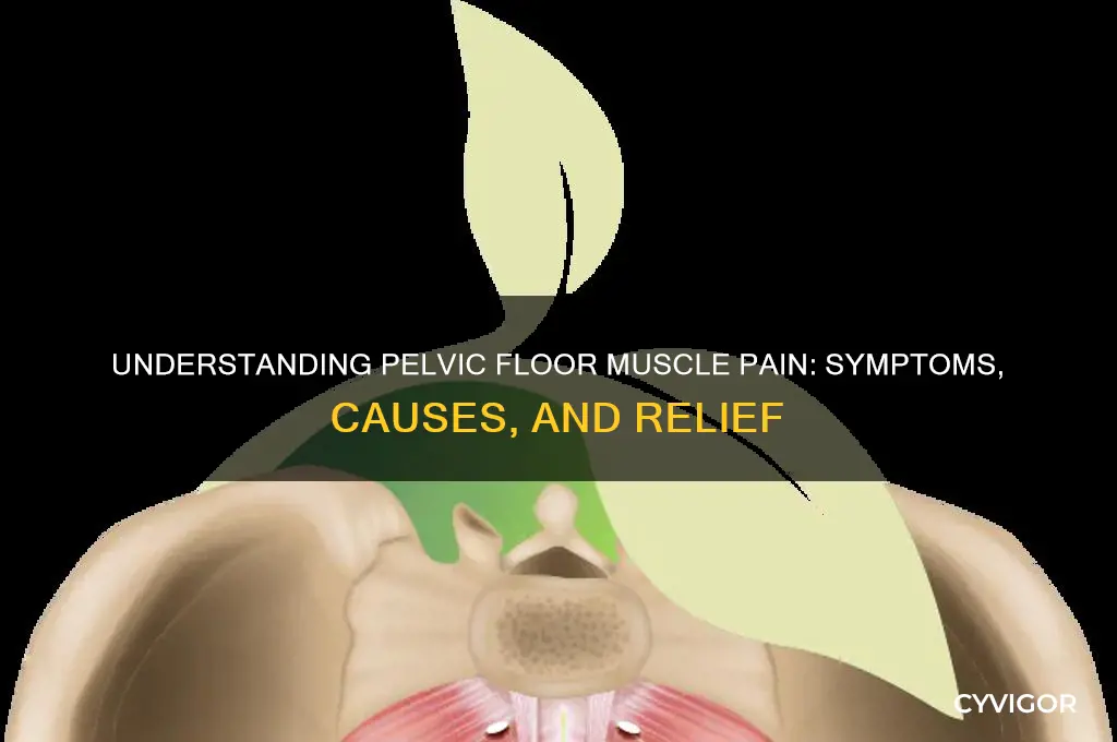what does pelvic floor muscle pain feel like