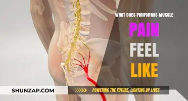 Understanding Piriformis Muscle Pain: Symptoms, Causes, and Relief Strategies